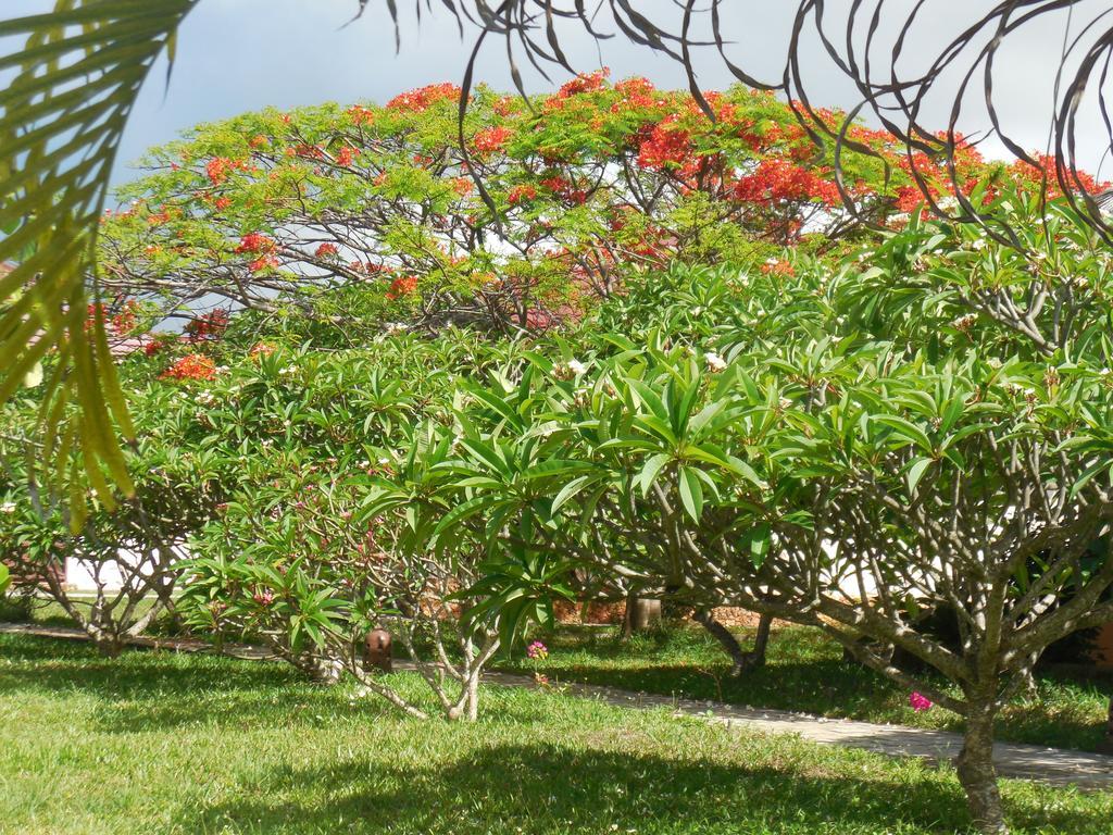 Swahili Beach Resort Zanzibar Exteriér fotografie